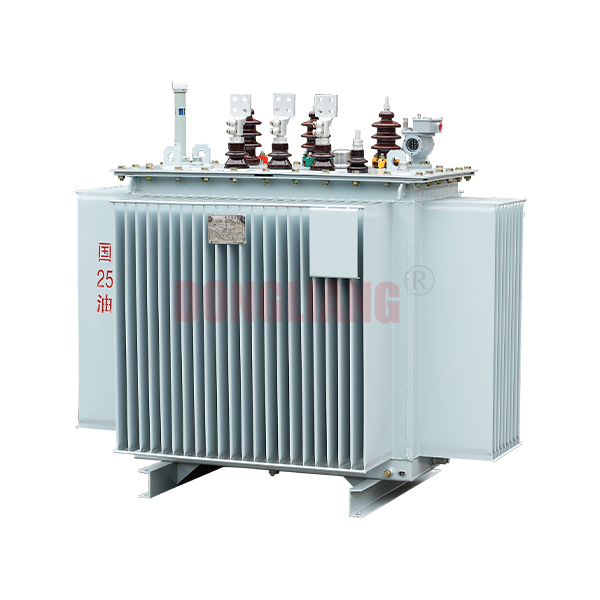 S13-M-30-2500/10 Fully sealed distribution transformer