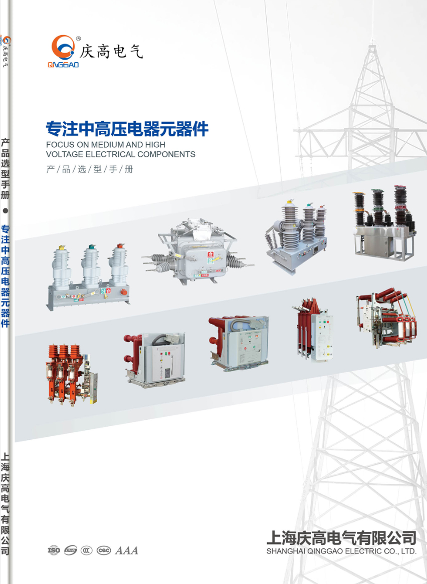 Medium and High Voltage Electrical Components - Qinggao Electric