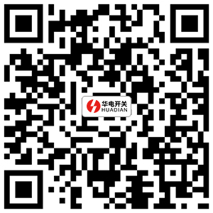 Shaanxi Huadian Electric Co., Ltd.